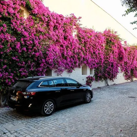 Holiday home Casa Dolores - Convento Bernardas Tavira